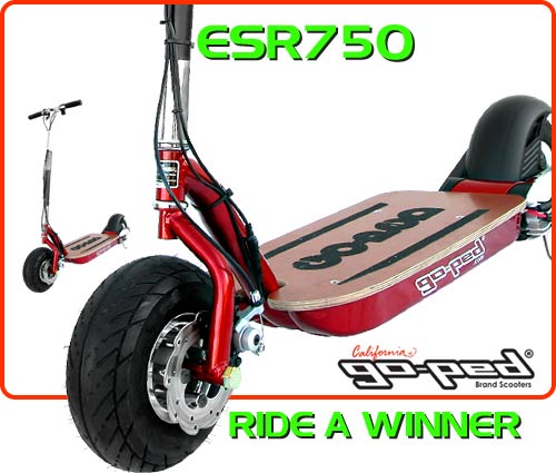 esr750 Electric Scooter Large Image