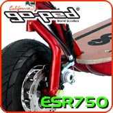 ESR750 Electric Scooter